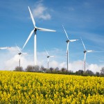 portfolio-eco-image-10